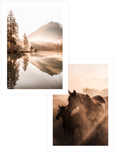 Les Chevaux- Poster Seti Duo